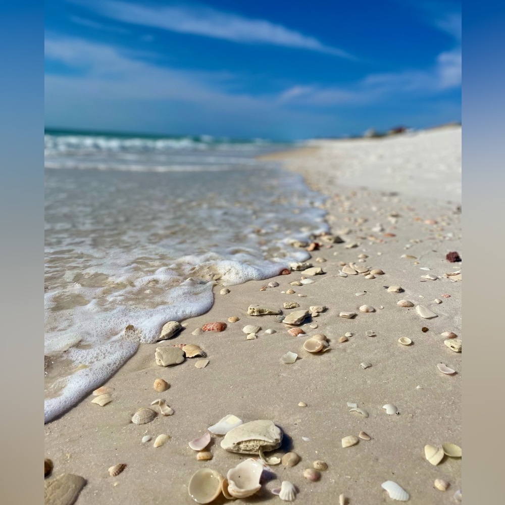 Meet your Posher, Bethany